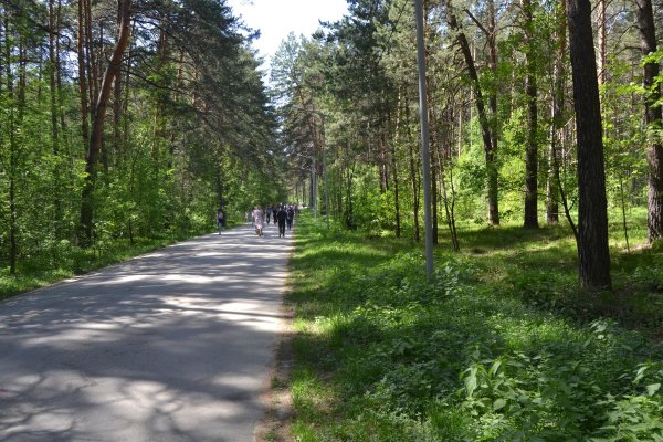 Как попасть на сайт даркнет